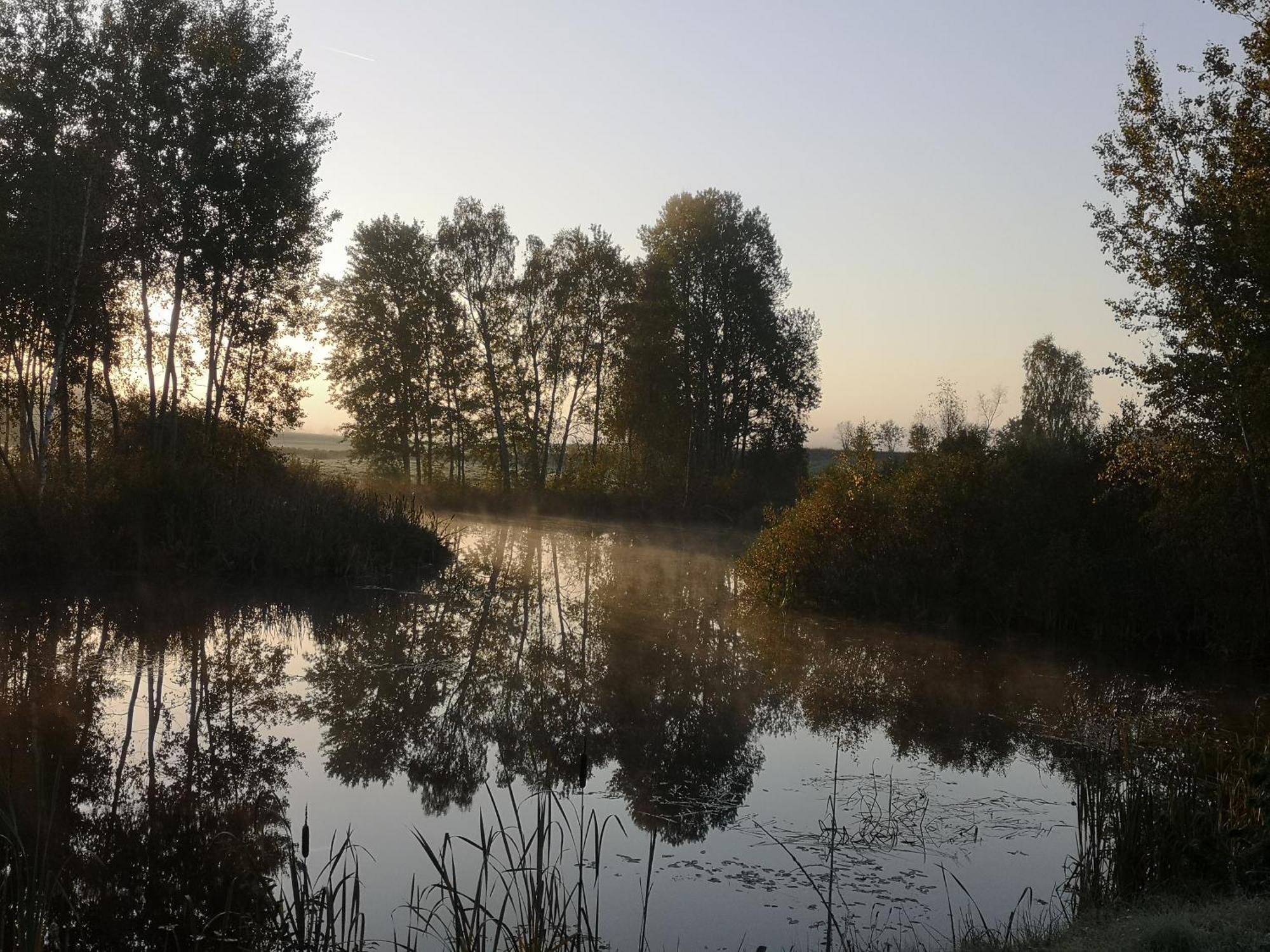 Borowy Zakatek Villa Stara Kiszewa Kültér fotó